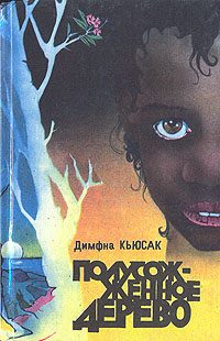 Обложка книги «Чёрная молния»