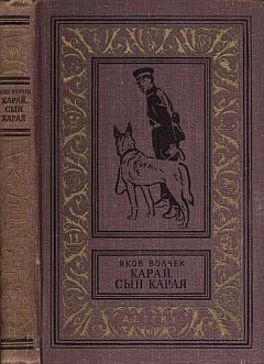 Обложка книги «Сын Карая»
