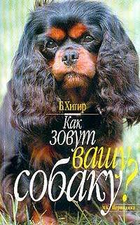 Обложка книги «Как зовут вашу собаку»
