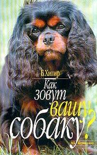 Обложка книги «Как зовут вашу собаку»