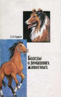 Обложка книги «Любящие нас больше, чем себя»
