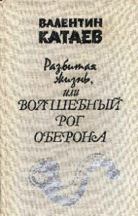 Обложка книги «Разбитая жизнь, или Волшебный рог Оберона»