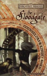 Обложка книги «The Floodgate»