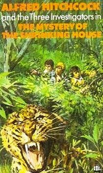 Обложка книги «Тайна зигзага»