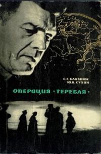 Обложка книги «В лабиринте замершего города»