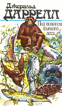 Обложка книги «Под пологом пьяного леса»