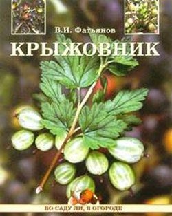 Обложка книги «Крыжовник»