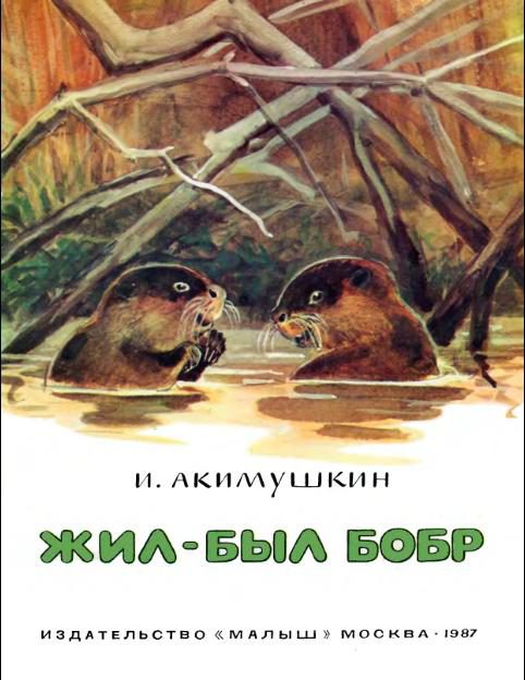 Обложка книги «Жил-был бобр»