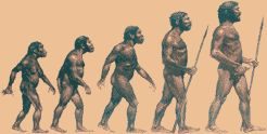 Обложка книги «История людей»