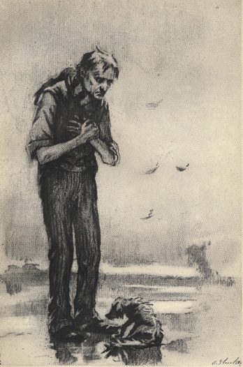 Обложка книги «Братья»