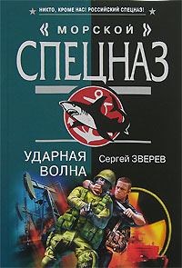 Обложка книги «Ударная волна»