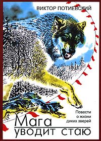 Обложка книги «Мага уводит стаю»