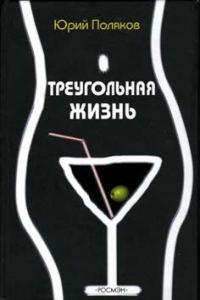 Обложка книги «Геометрия любви»