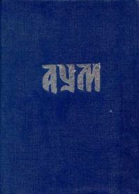 Обложка книги «Аум»