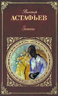 Обложка книги «Затеси»