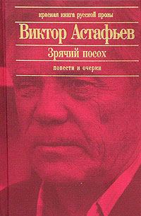Обложка книги «Паруня»