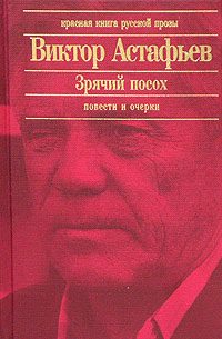 Обложка книги «Паруня»