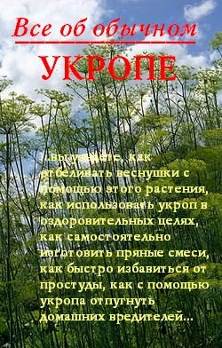 Обложка книги «Все об обычном укропе»