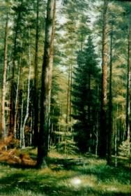 Обложка книги «Лес - кормилец»