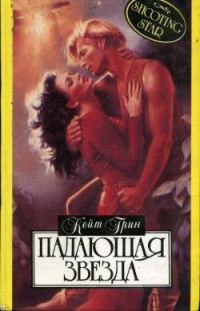 Обложка книги «Падающая звезда»