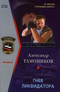 Обложка книги «Гнев ликвидатора»
