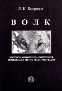 Обложка книги «Волк»