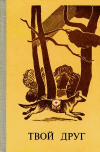 Обложка книги «Твой друг (Сборник по собаководству, 1979 г. Выпуск 2)»