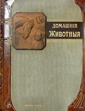 Обложка книги «Наши домашнiя животныя. Собаки»