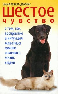 Обложка книги «Шестое чувство»