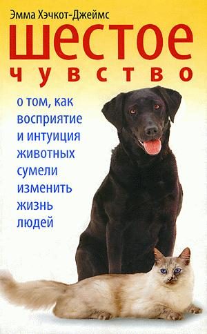 Обложка книги «Шестое чувство»