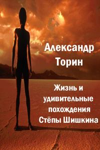 Обложка книги «Жизнь и удивительные похождения Степы Шишкина»