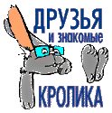 Обложка книги «Клетчатый суслик»