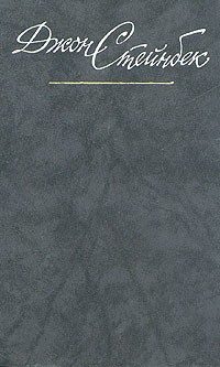 Обложка книги «И проиграли бой»