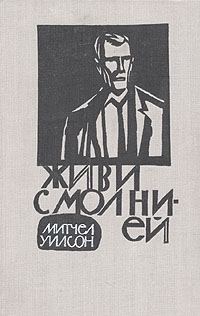 Обложка книги «Живи с молнией»