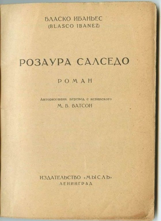 Обложка книги «Розаура Салседо»
