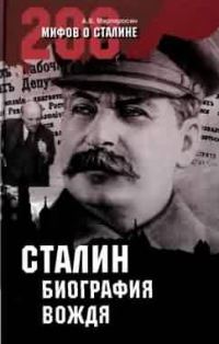 Обложка книги «Сталин: биография вождя»