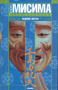 Обложка книги «Падение ангела»