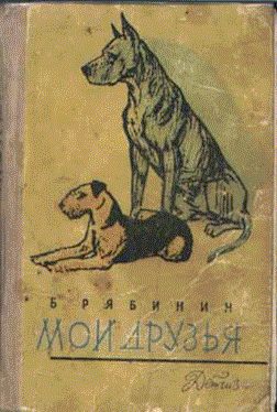 Обложка книги «Мои друзья»