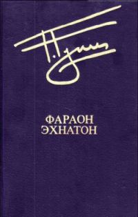Обложка книги «Чудак»