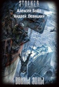 Обложка книги «Воины Зоны»