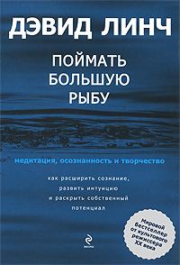 Обложка книги «Поймать большую рыбу. Медитация, осознанность и творчество»
