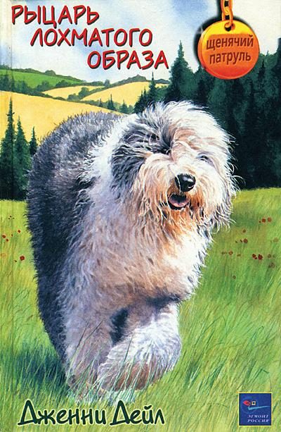Обложка книги «Рыцарь лохматого образа»