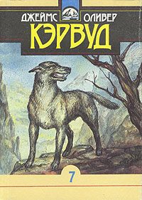 Обложка книги «Быстрая Молния»
