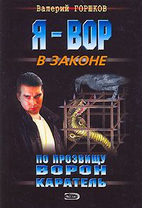 Обложка книги «Каратель»