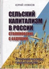 Обложка книги «Сельский капитализм в России: Столкновение с будущим»