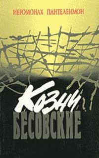Обложка книги «Козни бесовские»