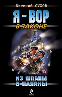 Обложка книги «Из шпаны – в паханы»