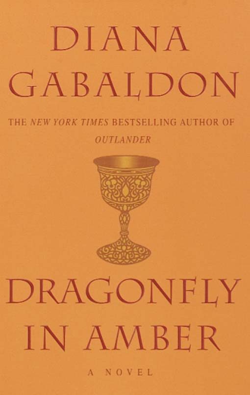 Обложка книги «Dragonfly In Amber»
