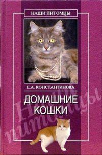 Обложка книги «Домашние кошки»