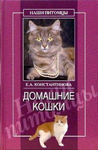 Обложка книги «Домашние кошки»